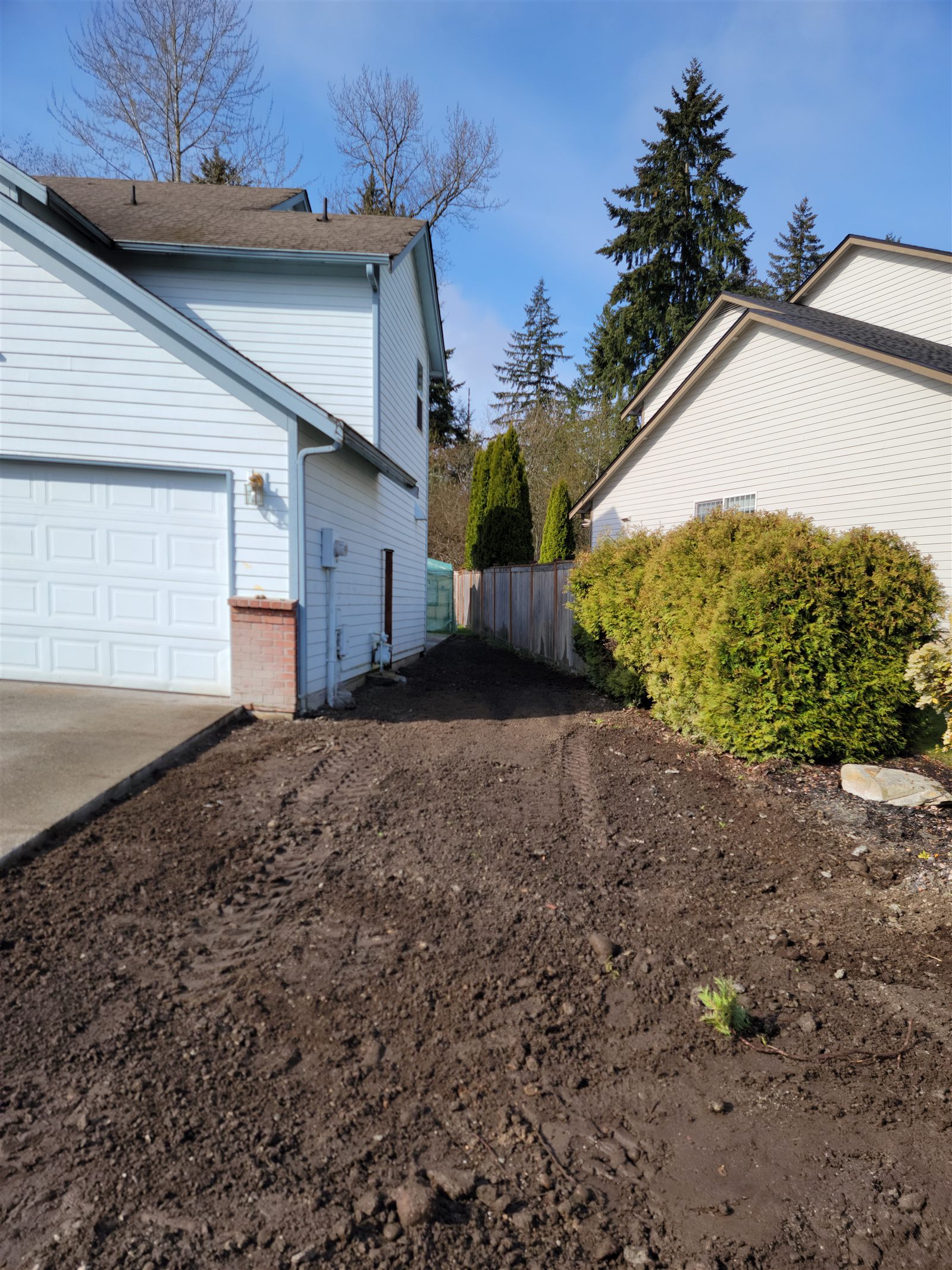 Backyard stripped and rough-graded to bare dirt