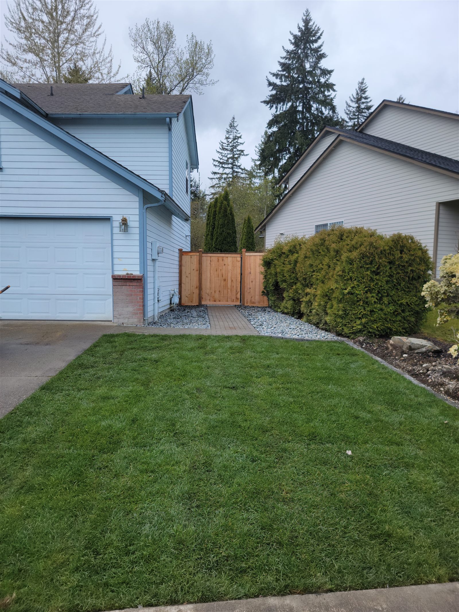 Fresh sod backyard at the end of the regrade project